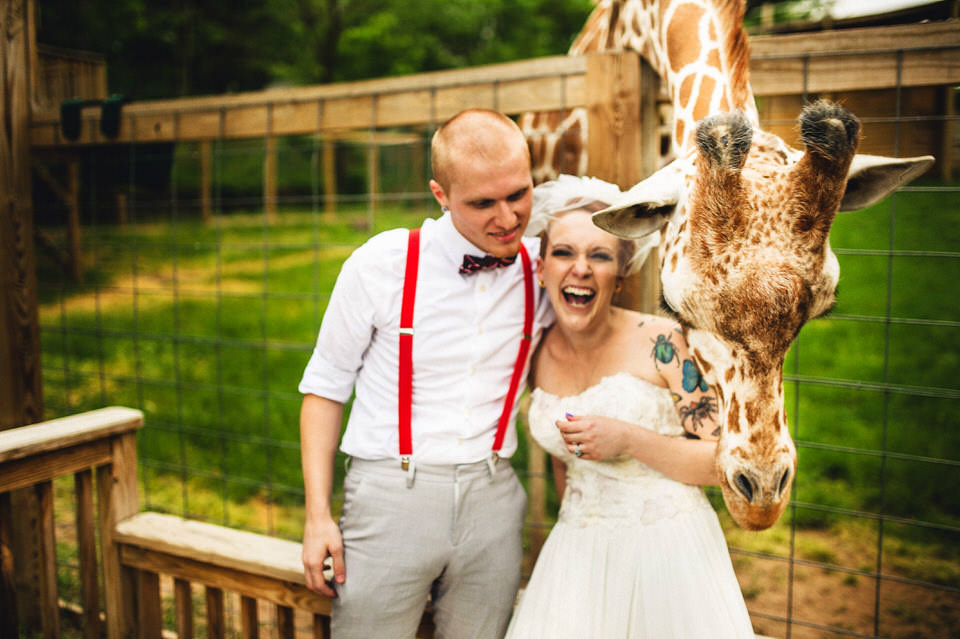 elmwood park zoo, giraffe, norristown, wedding