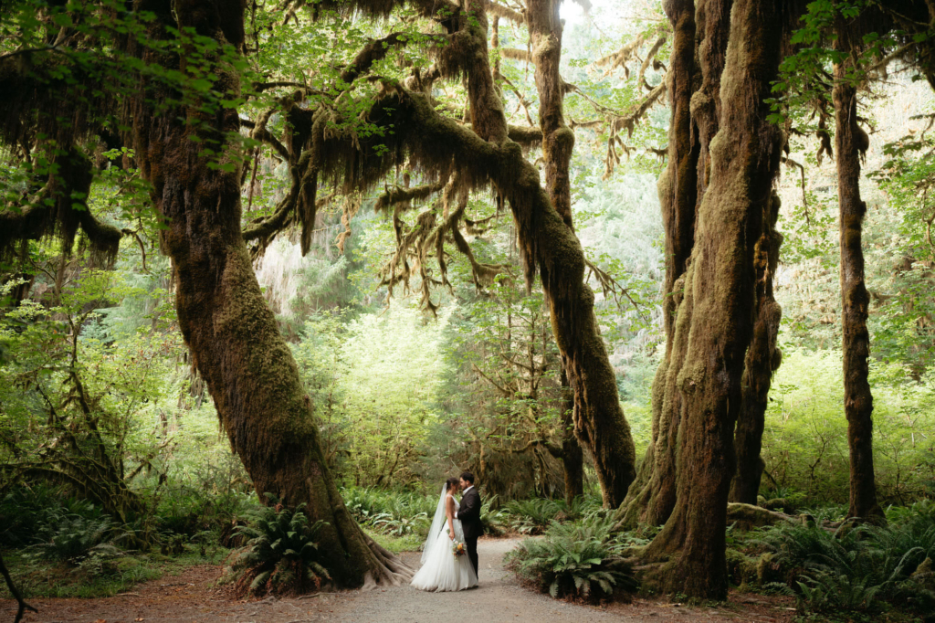 A bride and groom stand facing each other in a lush green forest, framed by tall, moss-covered trees.
Soft light filters through the leaves, creating a calm, intimate atmosphere around the couple.