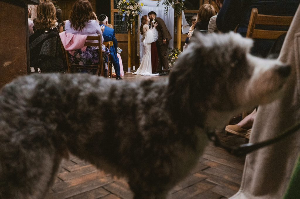 Two dogs stand in the foreground inside a ceremony space while a couple kiss at the altar in the background.