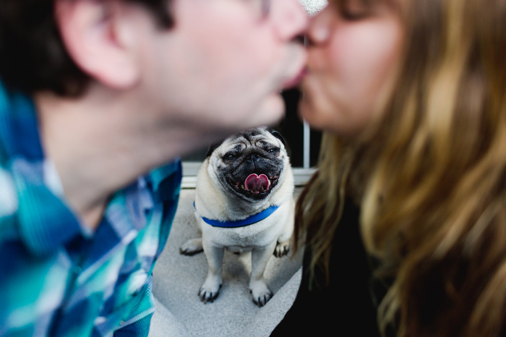 A couple leans in to kiss while a small dog sits between them, looking up with its tongue out in a playful moment.