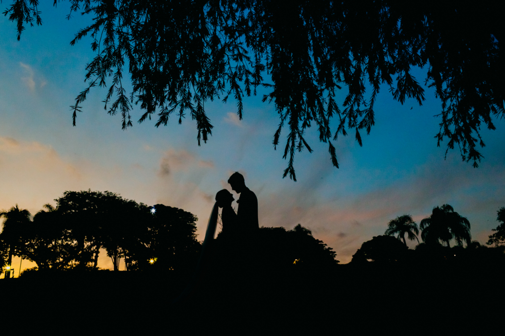 A couple stands close together in silhouette at dusk, framed by trees against a fading blue sky.