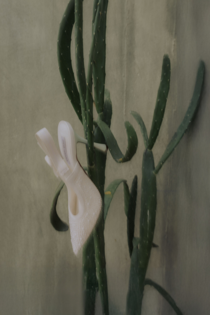 This is a soft, muted-toned photograph of a cactus set against a textured wall. Draped over one of its arms is a pair of white high-heeled shoes, their smooth, delicate form contrasting with the cactus’s rough, organic structure. The composition feels slightly surreal and sculptural, with a gentle, almost dreamlike quality created by the diffused light and subdued color palette.