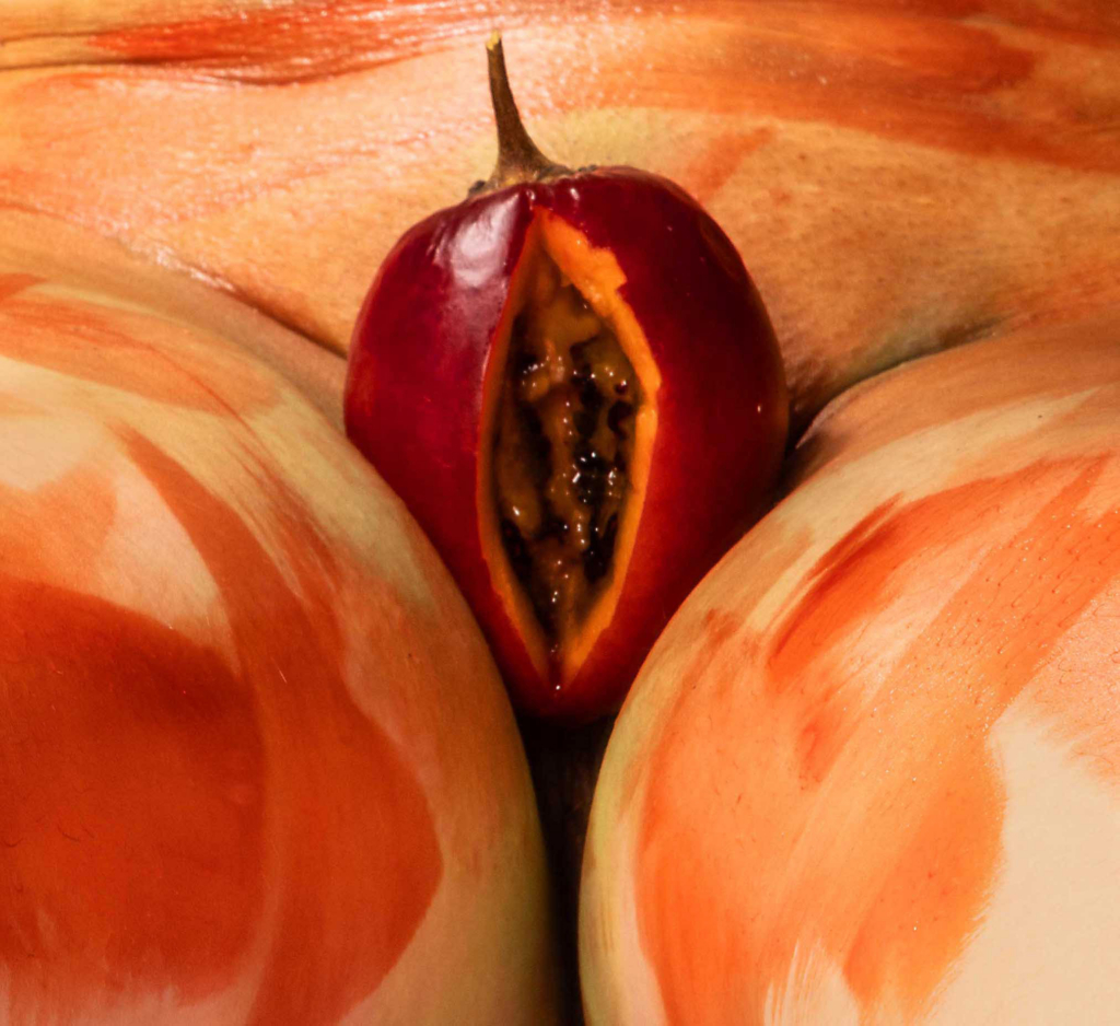 Erotic surreal composition where a split tropical fruit replaces the sensual symbolism of the body.