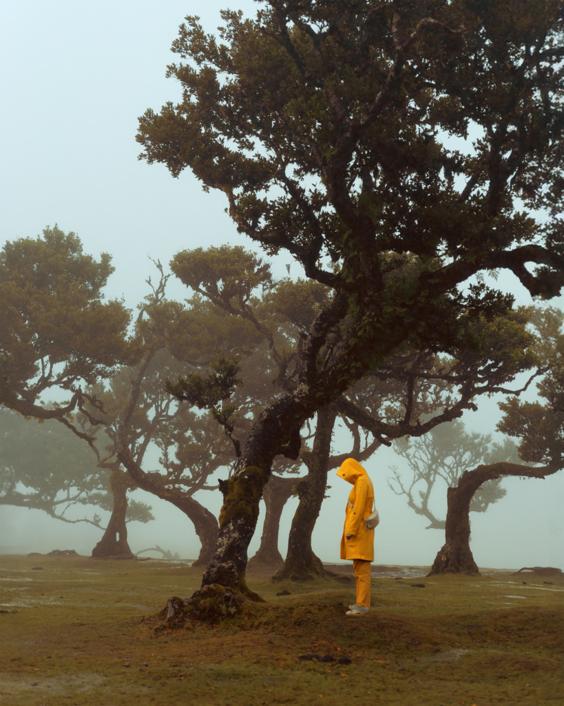 A person wearing a bright yellow raincoat stands quietly among twisted, moss-covered trees in a foggy landscape. Their head is bowed as they face one of the trees, while the soft mist and muted light create a calm, reflective atmosphere throughout the scene.