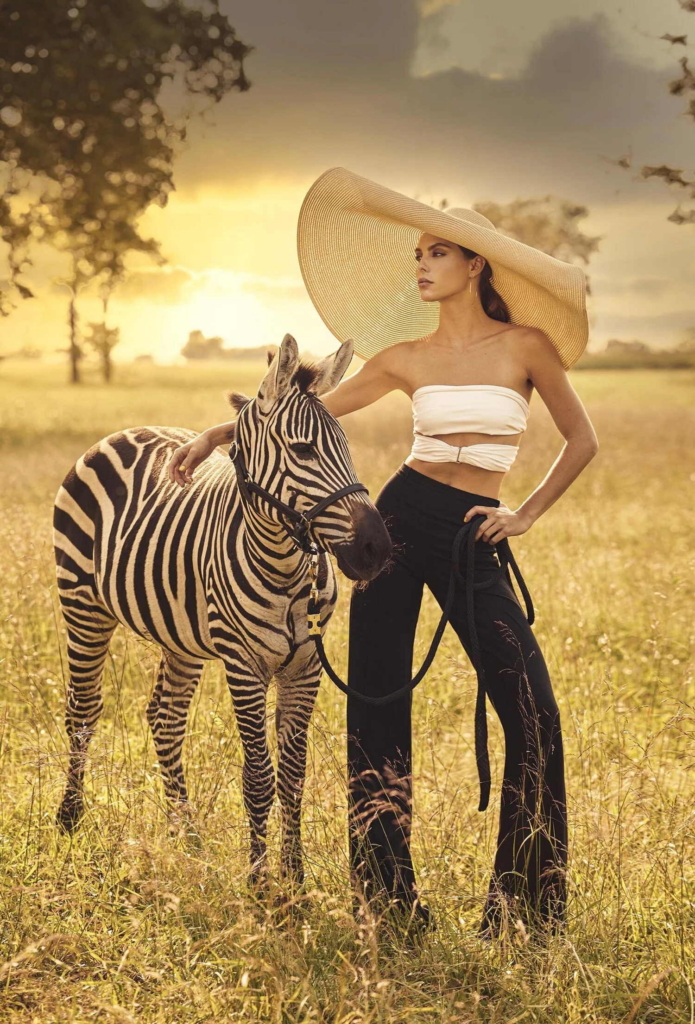A woman in a wide-brimmed hat stands in a sunlit field beside a zebra.
Golden evening light fills the landscape as she holds the animal’s lead and looks toward the horizon.