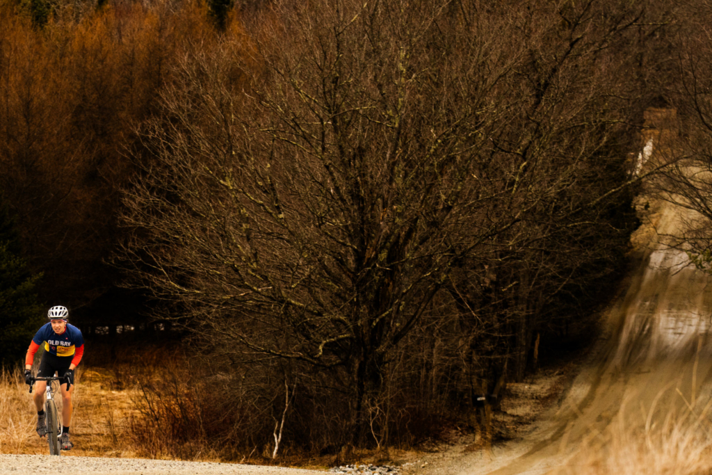 A cyclist rides along a gravel road through a rural landscape lined with leafless trees and dry grass. The wide composition emphasizes the winding road stretching into the distance, while warm light highlights the earthy tones of the late-season scenery.