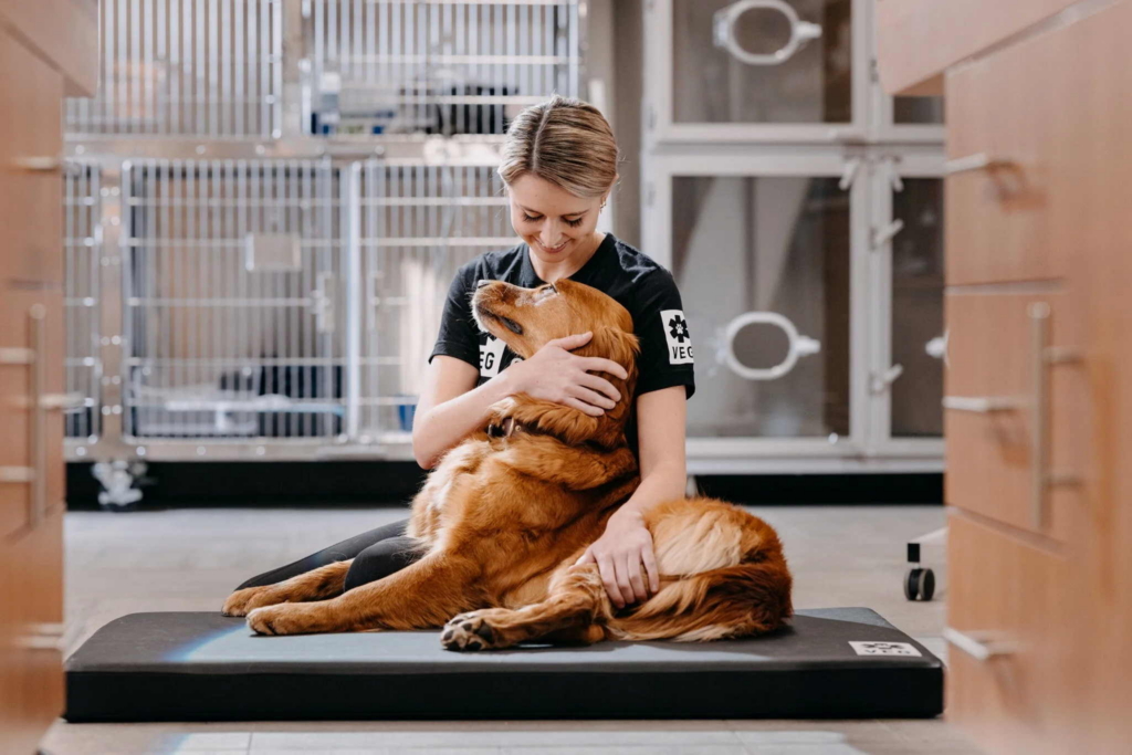 A woman sits on the floor hugging a golden retriever while smiling down at the dog. They are inside a veterinary clinic, with animal kennels visible in the background and soft natural light filling the room.