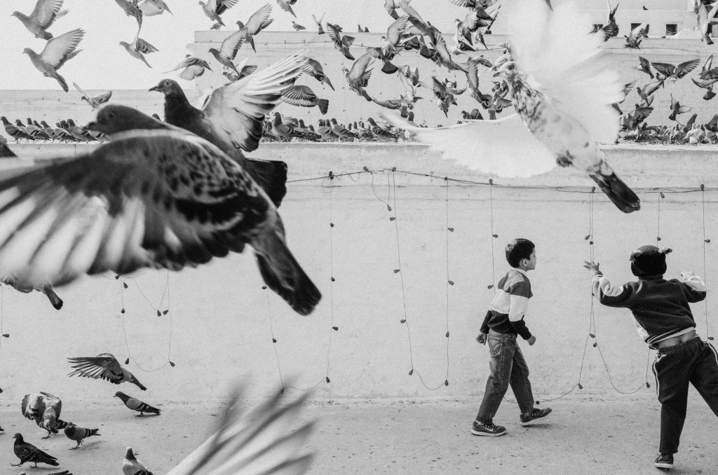 A black-and-white street photograph shows two children running and reaching toward a large flock of pigeons in an open urban space. Birds fill the frame at multiple distances, with wings outstretched in flight, creating a lively sense of movement against the bright background and simple concrete wall.