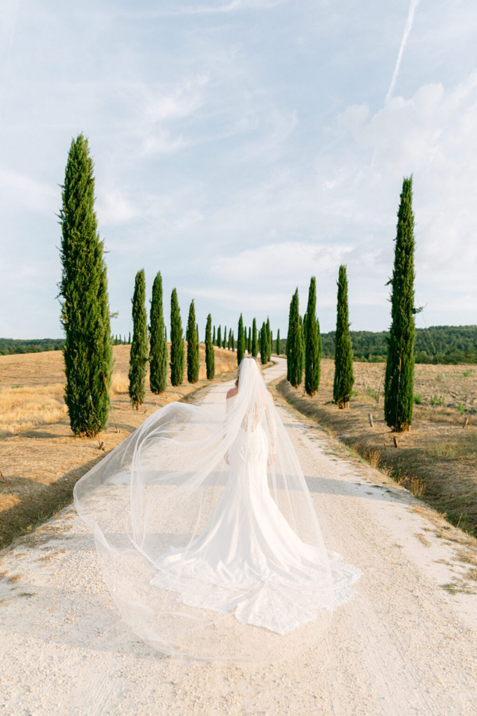 A bride stands alone on a long gravel road lined with tall cypress trees, her veil flowing behind her in a gentle breeze. Warm afternoon light illuminates the countryside landscape, creating a quiet and elegant atmosphere.